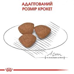 Сухий корм для цуценят дрібних порід Royal Canin Mini Puppy, з м'ясом птиці, 8 кг (30000801) - мініатюра 3
