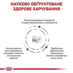 Сухий дієтичний корм для щенят Royal Canin Gastrointestinal Puppy при порушенні травлення, 2,5 кг (39570251) - мініатюра 5