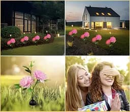 Світильники Sun Lamp садові на сонячних батареях для вуличних квітів Півонія рожевий 2 шт - мініатюра 4