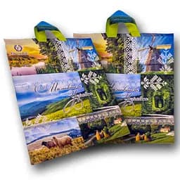 Пакет із петльовою ручкою 40*42 "Живописна Україна Ренпако (25 шт.) - мініатюра 2
