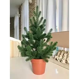Ялинка Hvoya Traditional лита у горщику 50 см зелена новинка - мініатюра 6