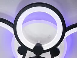 Люстра LED Diasha 8022/4BK, 70W, 3200K-6000K, акрил, чорний метал, сучасний стиль для дому - мініатюра 4