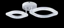 Люстра стельова LED Splendid Ray L2721/1+1, 48W, білий, з пультом, сучасний стиль - мініатюра 2
