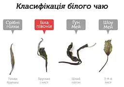 Чай Newtea Бай Му Дань Лі Да Насамперед Людяність 2022 р. - 350 г - мініатюра 3