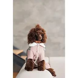 Костюм для собак Pet Fashion Twiddy ХS дівчинка пудровий - мініатюра 5