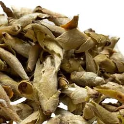 Чай Jinglong Tea Factory Дикі бруньки з пуерних дерев Гу Шу Я Бао від Цзин Лун 2021 р. - 50 г - мініатюра 5