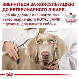 Сухий корм для дорослих собак та літніх собак Royal Canin Mobility Support із захворюваннями опорно-рухового апарату, 12 кг (4221120) - мініатюра 2
