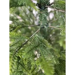 Ялинка штучна Hvoya Forest 180 см лита зелена з салатовими кінчиками - мініатюра 5