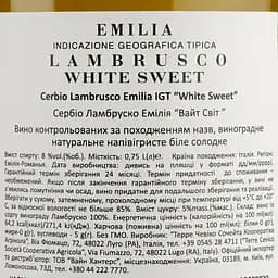 Вино ігристе Terre Cevico Cerbio Lambrusco Emilia IGT White Sweet, 8%, 0,75 л - мініатюра 3