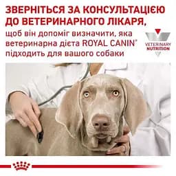 Консервований дієтичний корм Royal Canin Urinary S/O Aging 7+ для собак старше 7 років при захворюваннях нижніх сечовивідних шляхів, 85 г (12750019) - мініатюра 5