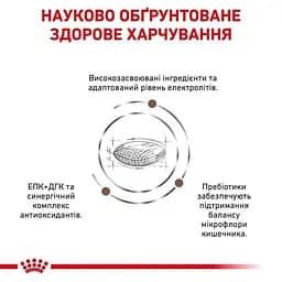 Сухий корм для собак Royal Canin Gastrointestinal Low Fat при порушеннях травлення 12 кг - мініатюра 5