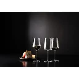 Келих для білого вина Schott Zwiesel Sauvignon Blanc Pure 408 мл 1 шт. (122314) - мініатюра 7