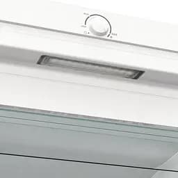 Морозильна камера GORENJE FN 619 FEW5 - мініатюра 11
