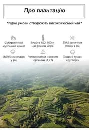Чай Newtea Бай Му Дань Лі Да Насамперед Людяність 2022 р. - 350 г - мініатюра 4