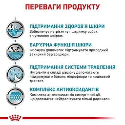 Сухий дієтичний корм для собак Royal Canin Skin Care Adult Dog при дерматозах та випадінні шерсті, 11 кг (4013110) - мініатюра 2