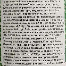 Напій слабоалкогольний MIX Gin&Mango 4% 0.33 л - мініатюра 4