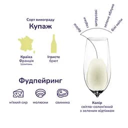Шампанське Moet&Chandon Brut Imperial, біле, брют, AOP, 12%, в подарунковій упаковці, 1,5 л (566420) - мініатюра 5