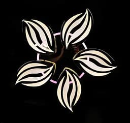 Люстра стельова LED Splendid Ray LK23/5, 120W, чорна/біла, сучасний стиль, з пультом, димер - мініатюра 7