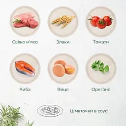 Вологий корм для собак Morando Tradizioni шматочки в соусі з яловичиною 405 г - мініатюра 3