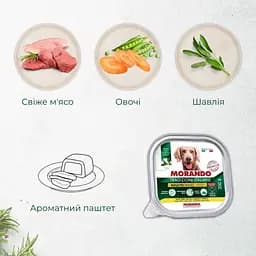Вологий корм для собак Morando Tradizioni беззерновий паштет з куркою, морквою та горохом 300 г - мініатюра 2