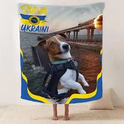 Плед патріотичний 3D Спалений Міст 2563_B 12015 135х160 см - мініатюра 2