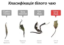 Чай Newtea Шоу Мей Лі Да 2020 р. - млинець 350 г - мініатюра 3