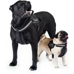 Шлея Dog Extreme "Police" №2 (В:40-60см), чорний - мініатюра 3