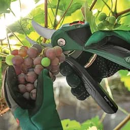 Секатор акумуляторний Bosch EasyPrune (0.600.8B2.102) - мініатюра 11
