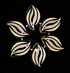 Люстра стельова LED Splendid Ray LK23/6, 160W, чорний/білий, димер, сучасний стиль - мініатюра 7