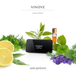 Ароматизатор для автомобіля Vinove Original Сільверстоун - мініатюра 3