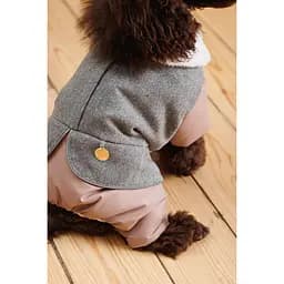 Костюм для собак Pet Fashion Twiddy ХS дівчинка пудровий - мініатюра 4