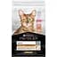 Сухой корм для котов с чувствительной кожей и от выпадения шерсти Purina Pro Plan Derma Care с лососем 1.5 кг (12371194) - миниатюра 2