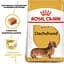 Сухий корм для дорослих собак породи Такса Royal Canin Dachshund Adult, 1,5 кг (3059015) - мініатюра 5