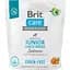 Сухий беззерновий корм для молодих собак великих порід Brit Care Dog Grain-free Junior Large Breed, з лососем, 1 кг - мініатюра 1