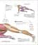 Science of HIIT - мініатюра 8