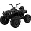 Електроквадроцикл Ramiz Quad ATV 12 В, чорний (PA.BDM0906.CZ) - мініатюра 1