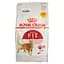Сухий корм для дорослих кішок Royal Canin Fit м'ясо птиці і рис 4 кг (2520040) - мініатюра 2
