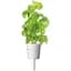 Змінний картридж Click & Grow Smart Garden Базилік, 3 капсули (7199) - мініатюра 1
