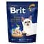 Сухой корм для котов, обитающих в помещении Brit Premium by Nature Cat Indoo с курицей 300 г - миниатюра 1
