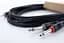 Комутаційний кабель mini Jack 3,5 stereo — 2x Jack mono 6.3 3 м Cordial EY 3 WPP - мініатюра 3