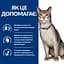 Сухий корм Hill's Prescription Diet ActivBiome+ Kidney Defense для котів підтримання функції нірок, з куркою, 0,4 кг - мініатюра 4