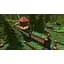 Ключ активації Microsoft Golf With Your Friends - Ultimate Edition для Xbox One/Series S/X - мініатюра 9