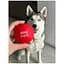 Іграшка для собак Waudog Red Ball 70 мм - мініатюра 6