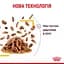 Вологий корм для дорослих котів Royal Canin Sensory Taste Gravy шматочки в соусі 1.02 кг (12 шт. х 85 г) - мініатюра 5