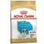 Сухой корм для щенков породы Французский Бульдог Royal Canin French Bulldog Puppy, 10 кг (3990100) - миниатюра 1