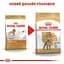 Сухий корм для дорослих собак породи Пудель Royal Canin Poodle Adult, 1,5 кг (3057015) - мініатюра 2