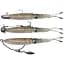 Силикон Savage Gear 3D Swim Squid 95 мм 5.0g White Glow Cuttlefish (4 шт/уп) - миниатюра 2
