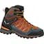 Черевики Salewa MS MTN Trainer Lite Mid GTX р. 44 - мініатюра 1