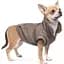 Жакет Pet Fashion Harry XS2 коричневий - мініатюра 3