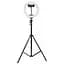 Кільцева світлодіодна LED лампа Arc Ring 10" + tripod 2.1m Black - мініатюра 2